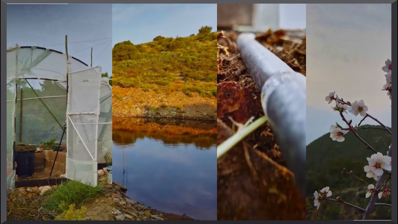 No-Till Survival Grow Tunnel, Hibernating Crop Circle & Post-Winter Dam updates