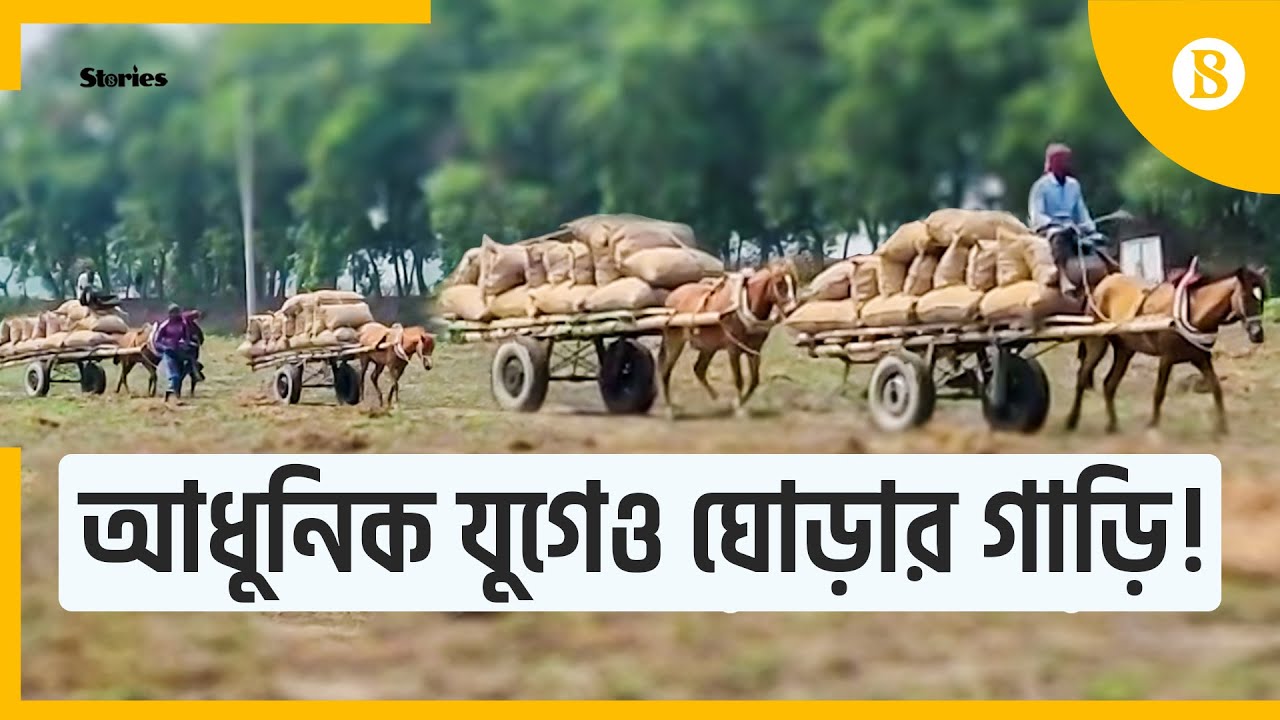 মুন্সিগঞ্জে আলু পরিবহণে ঘোড়ার গাড়ির রমরমা ব্যবসা | The Business Standard