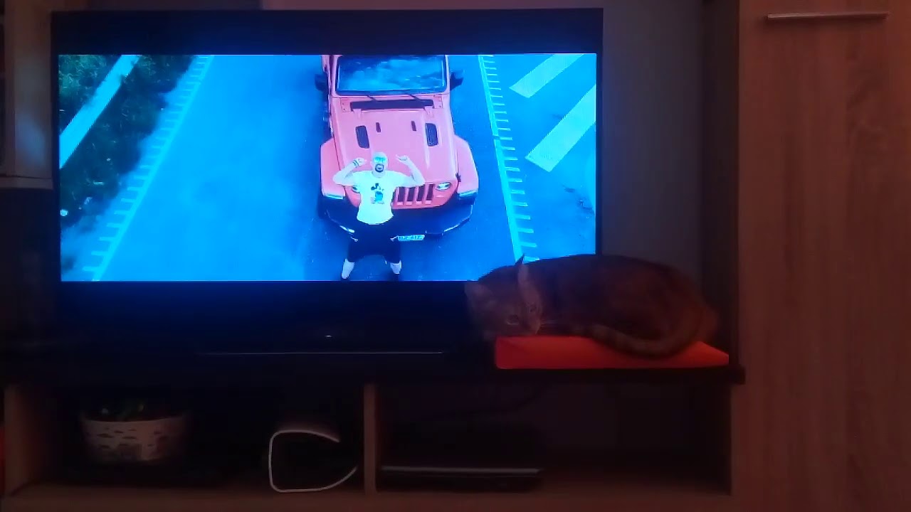 Voltaj - Las tot si fug la mare :)