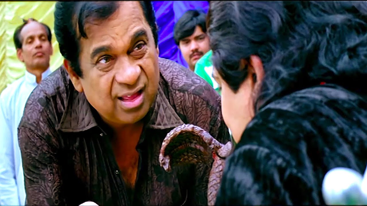 मेरी शादी क्यों नहीं हो रही भाई - Brahmanandam Ali की ज़बरदस्त कॉमेडी - SOUTH BLOCKBUSTER HINDI MOVIE