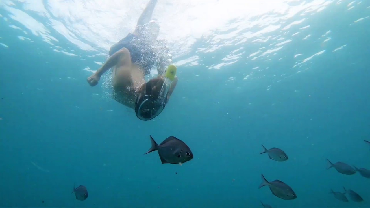 Body Glove AIRE - FULL BREATHING SNORKEL MASK