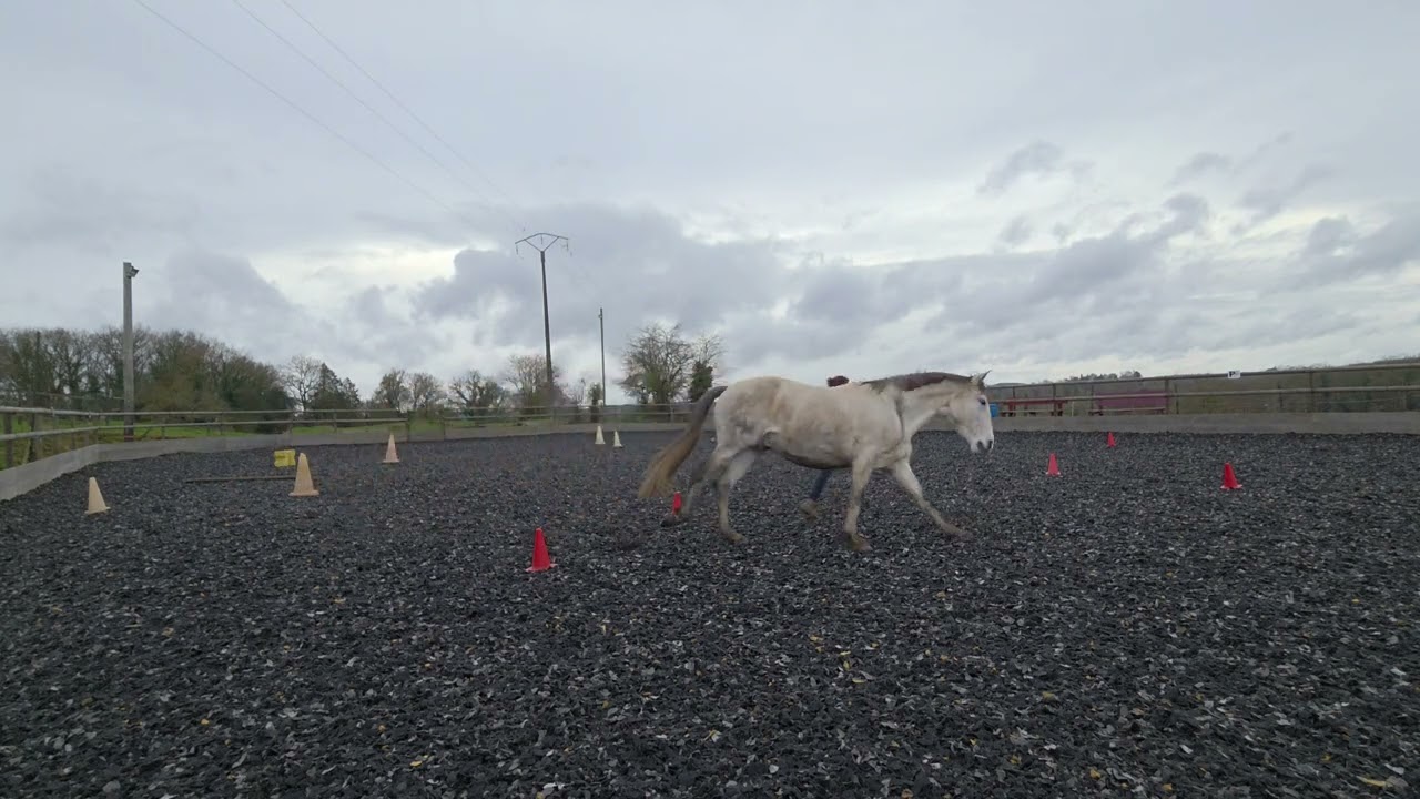 Caval go 2026 manche 2 club élite 