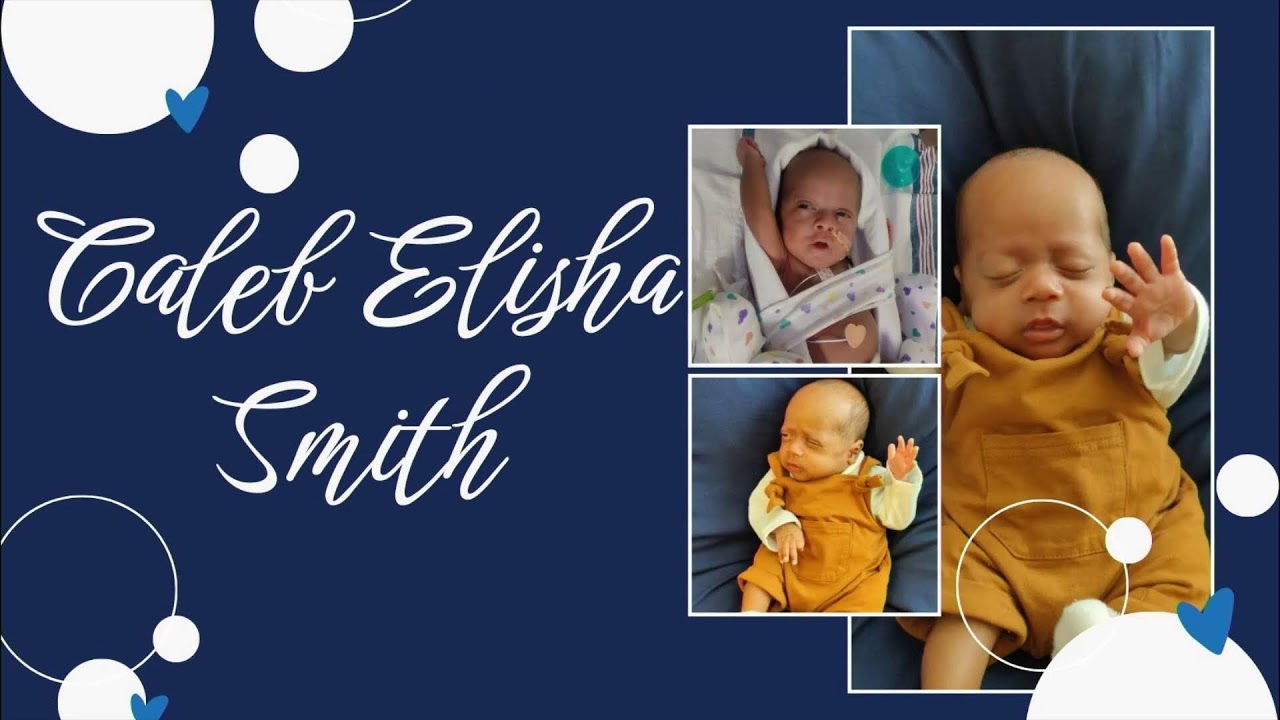 POJ Online | Hope Lives Here