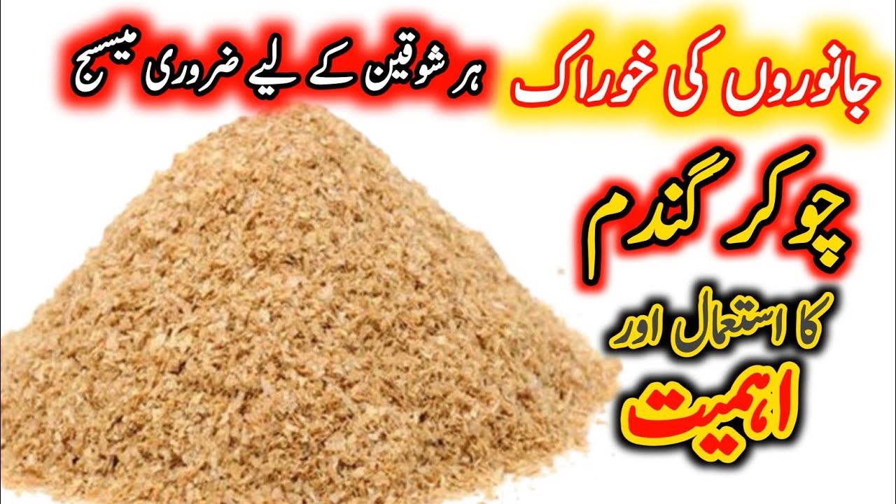 Chokar Gandum Ka Wanday Mein Istemal | Wheat Bran Use