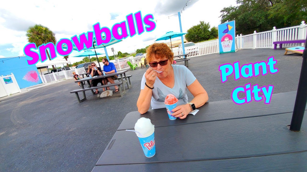 Pelican's SnoBalls 🍧