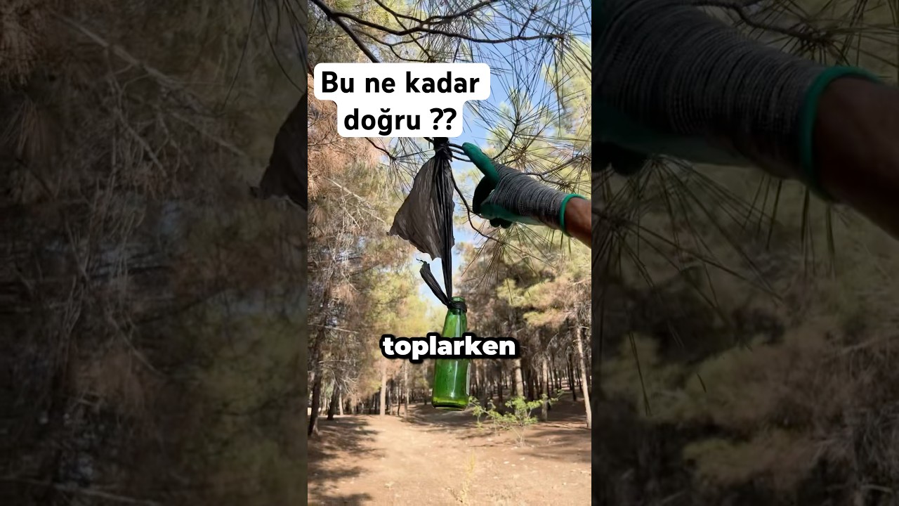 &Ccedil;evreyi temizledim ve &ccedil;&ouml;p topladım ! 18. G&uuml;n #&ccedil;evre #kamp