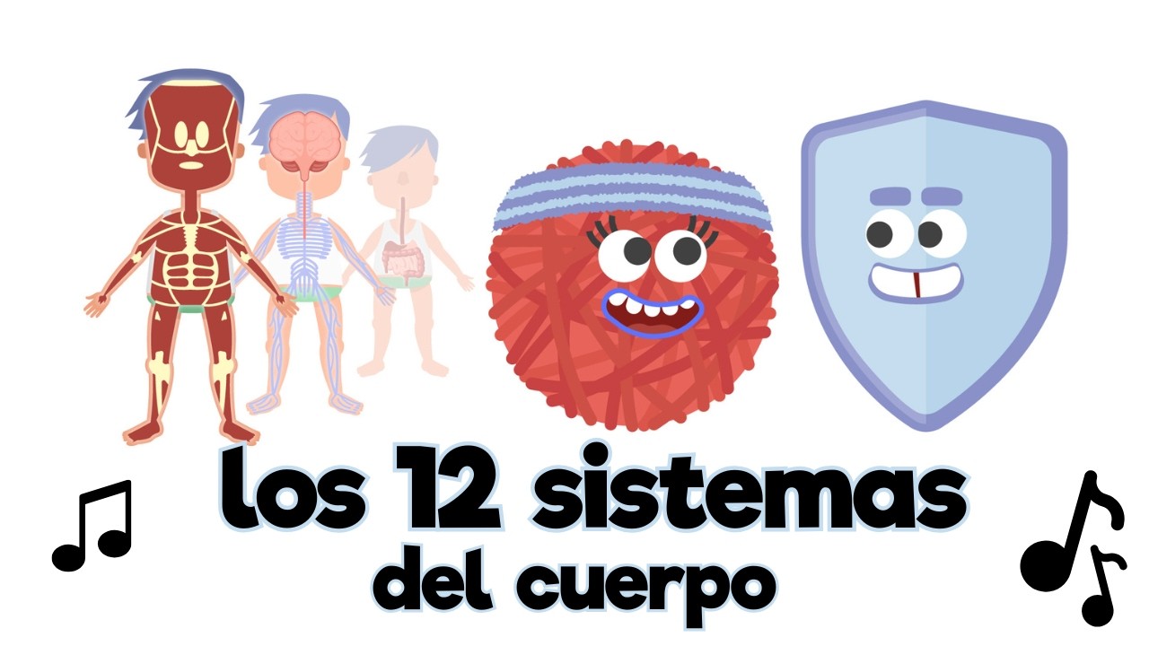 Los 12 sistemas del cuerpo | Canci&oacute;n de aprendizaje para ni&ntilde;os