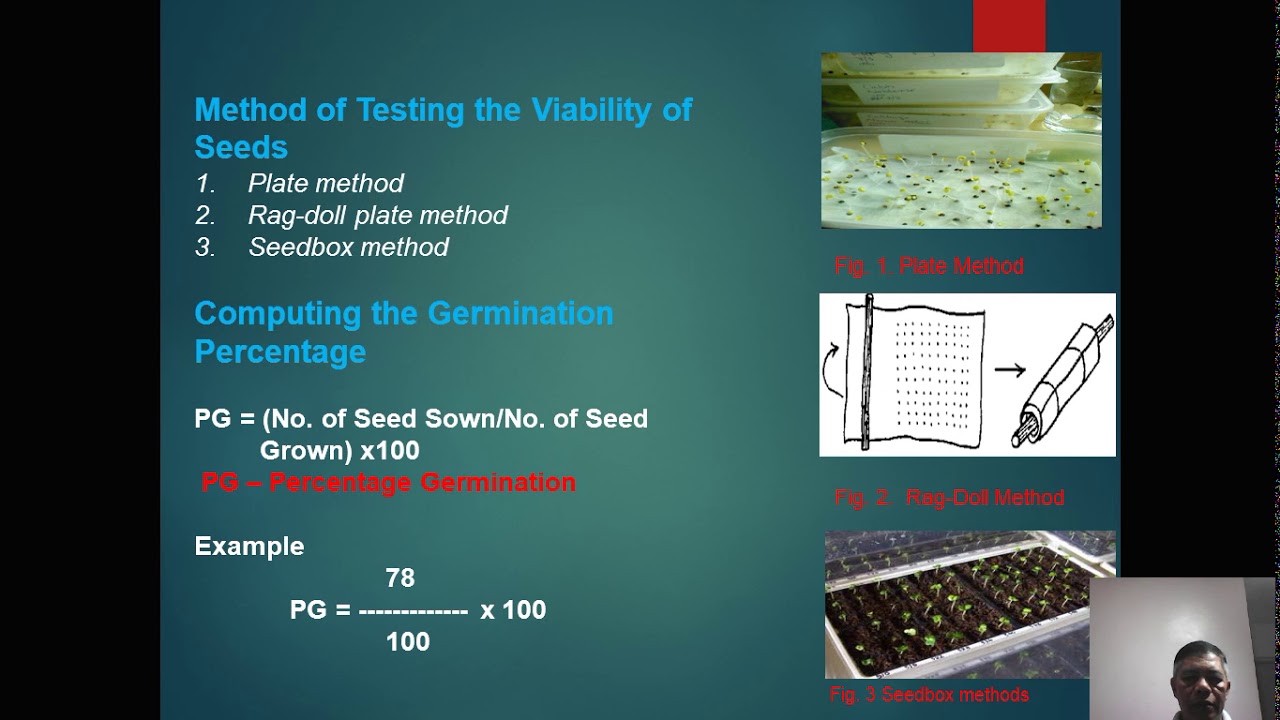 Seed Selection
