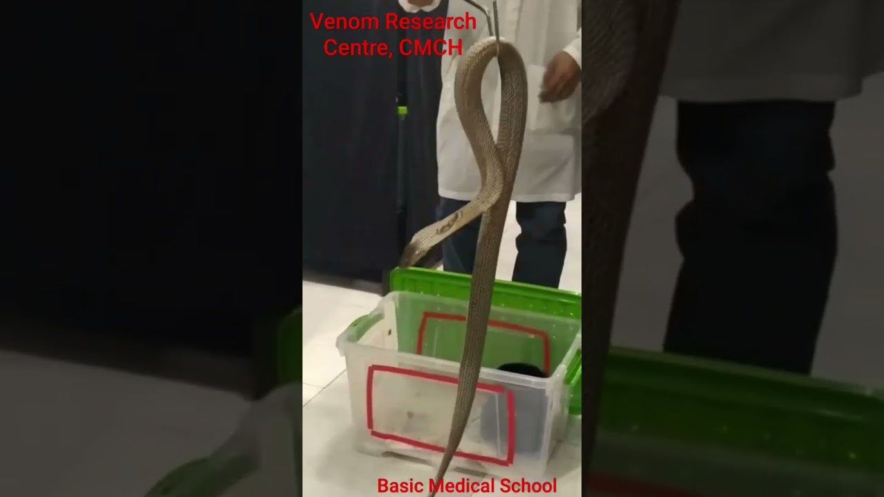 CMCH venom research centre