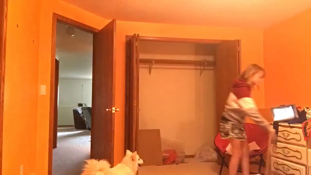 Making My Closet Into A Hangout Space For My Dog