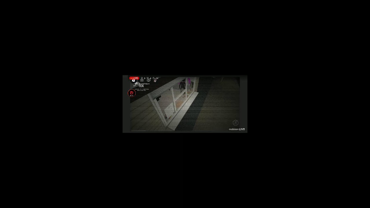 MobizenLiveStream