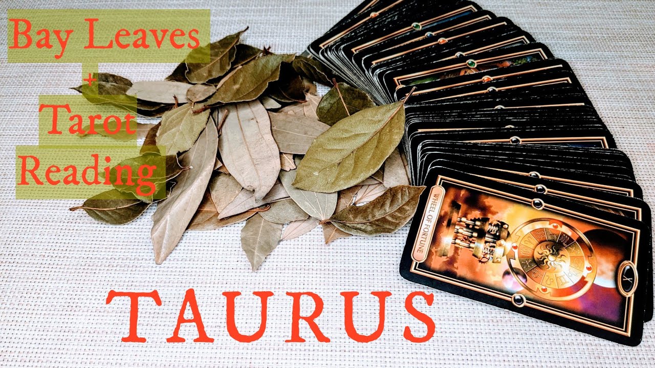 TAURUS♉This is Destined! You'll be Amazed How This Unfolds! DECEMBER 18th-24th