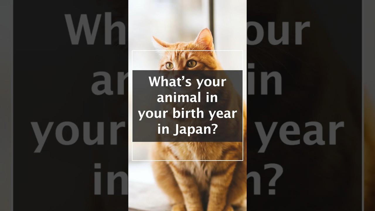 What’s your animal in your birth year in Japan?