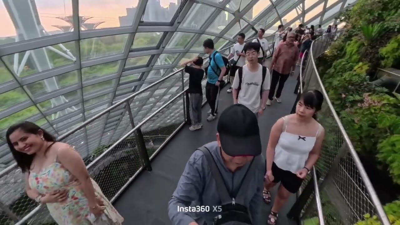 新加坡雲霧林
