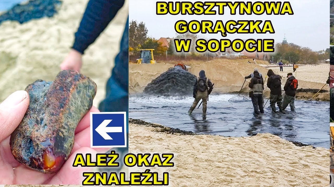 Bursztynowa gorączka w Sopocie.Ależ okaz znalazł poszukiwacz bursztynu.