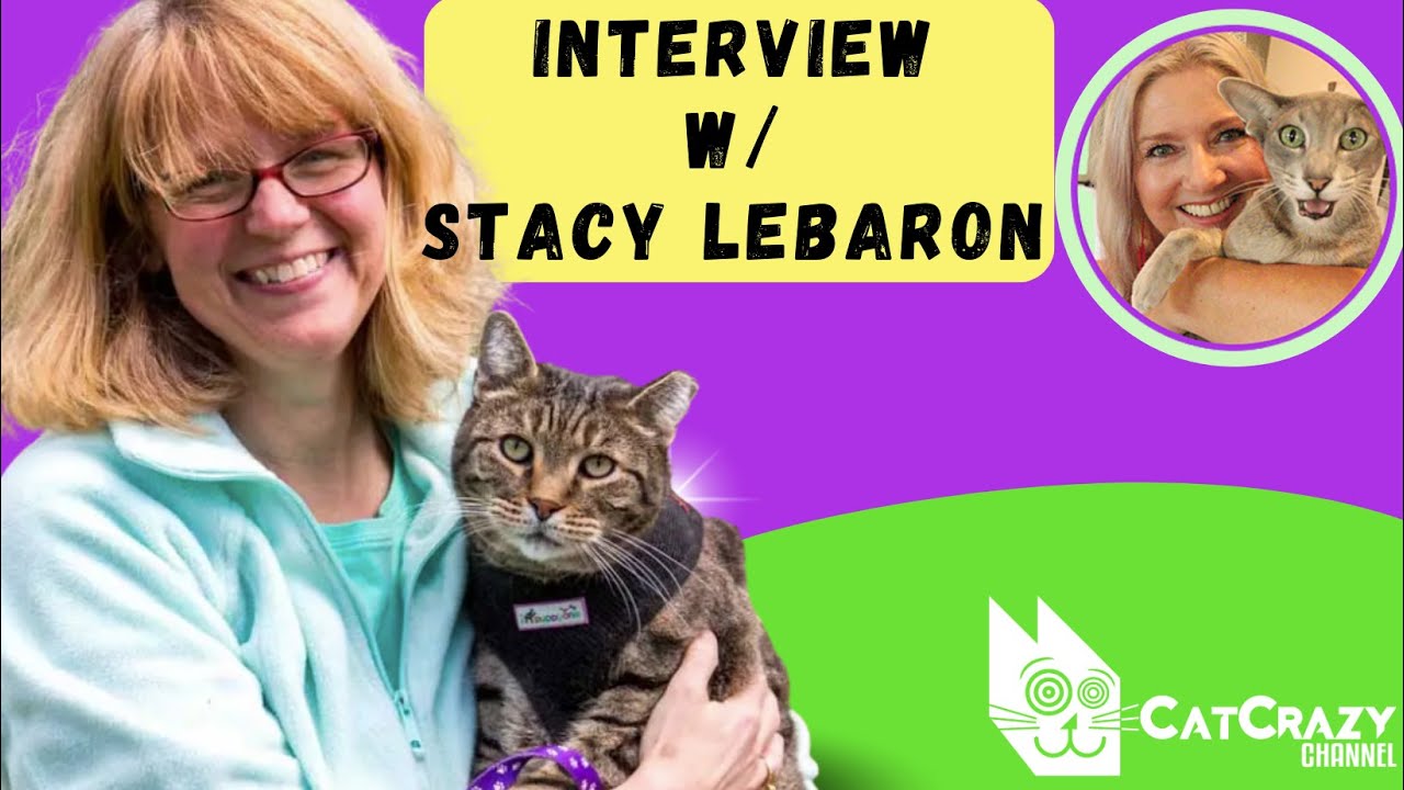 Trap, Neuter, Return Program explained - Community Cats Podcast!