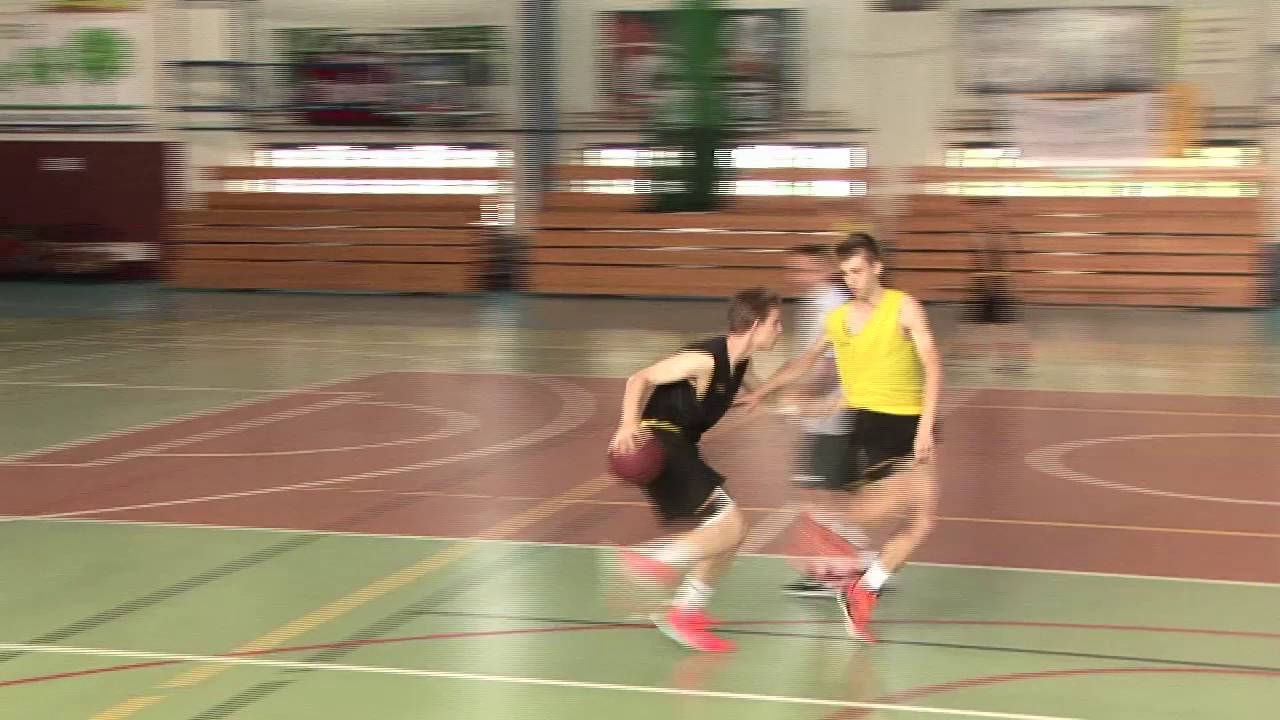 J Winnicki   Koncepcja obrony