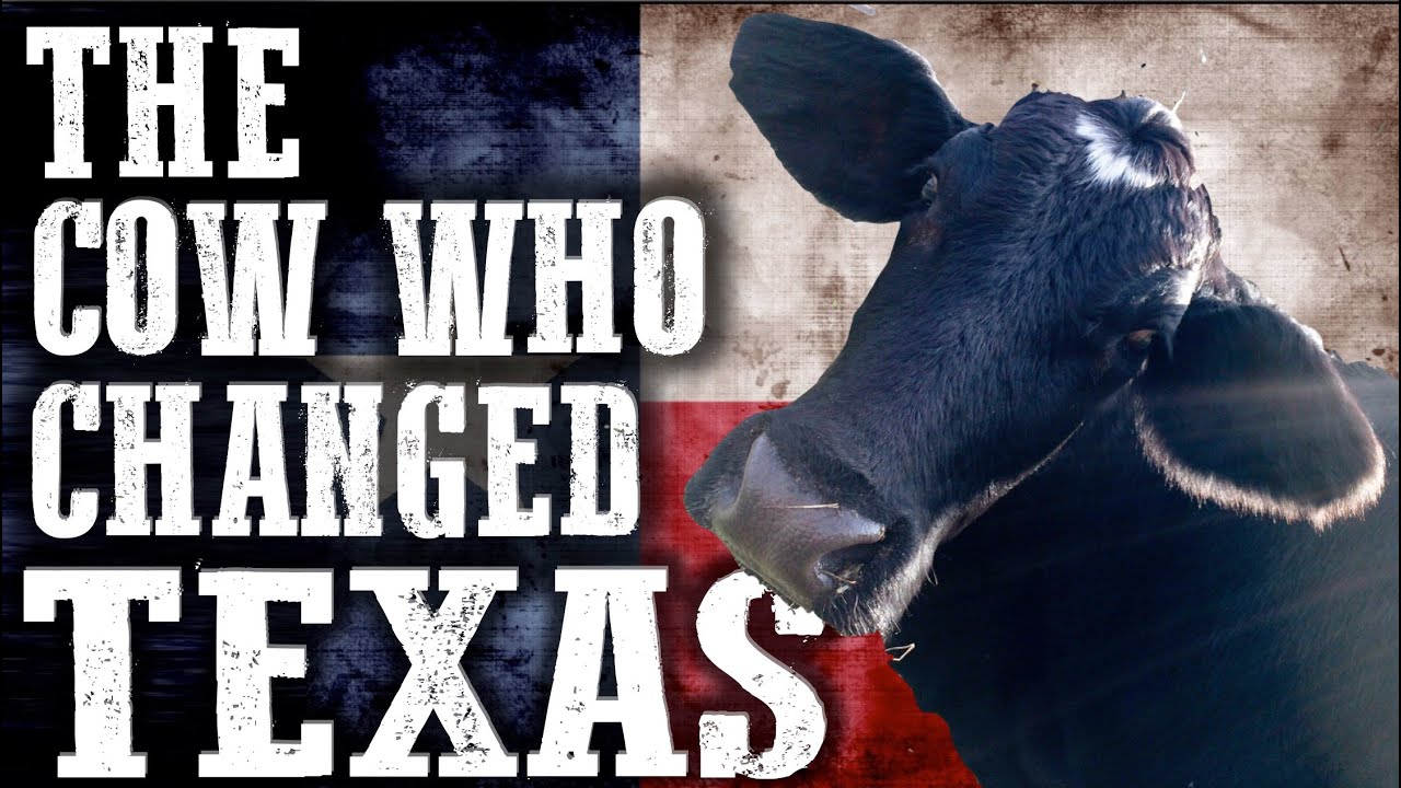 The Cow Who Changed Texas Forever | Rowdy Girl