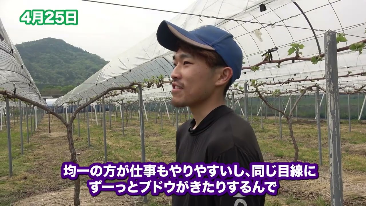 【前編】NEXT-VOICE ~ 中山ぶどう園 中山さん~