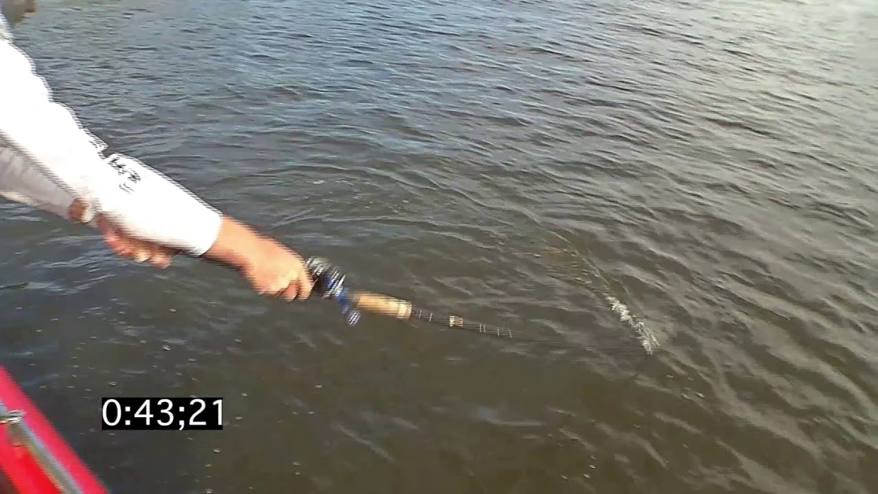 CRAZIEST BOATSIDE MUSKIE STRIKE