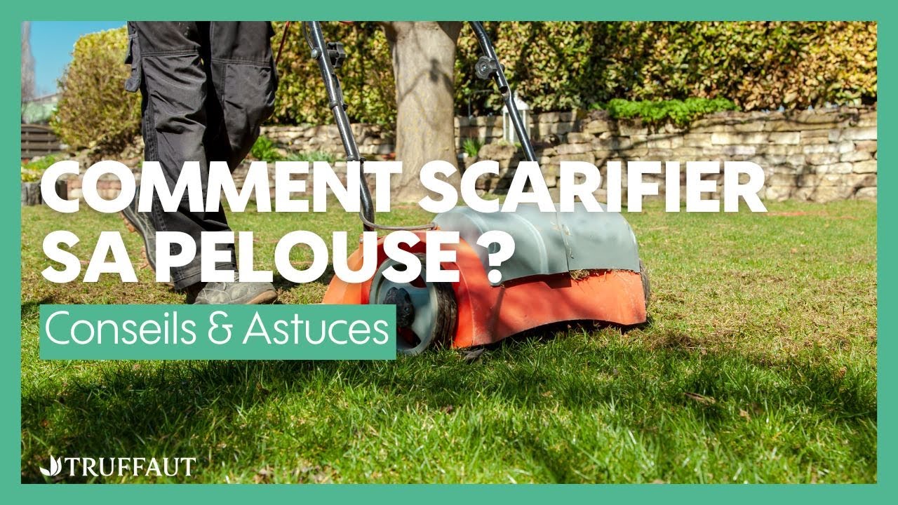 Comment scarifier sa pelouse ? - Truffaut