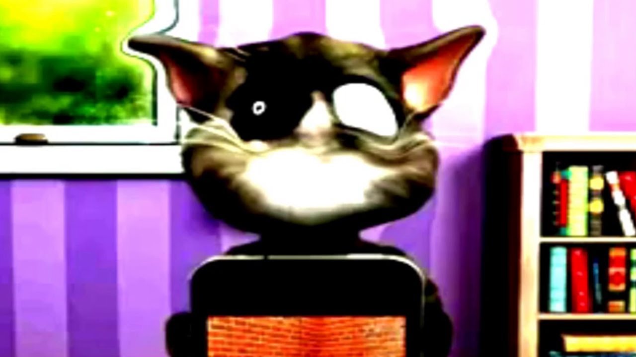 Talking Tom 2 - Funny Compilation.flv
