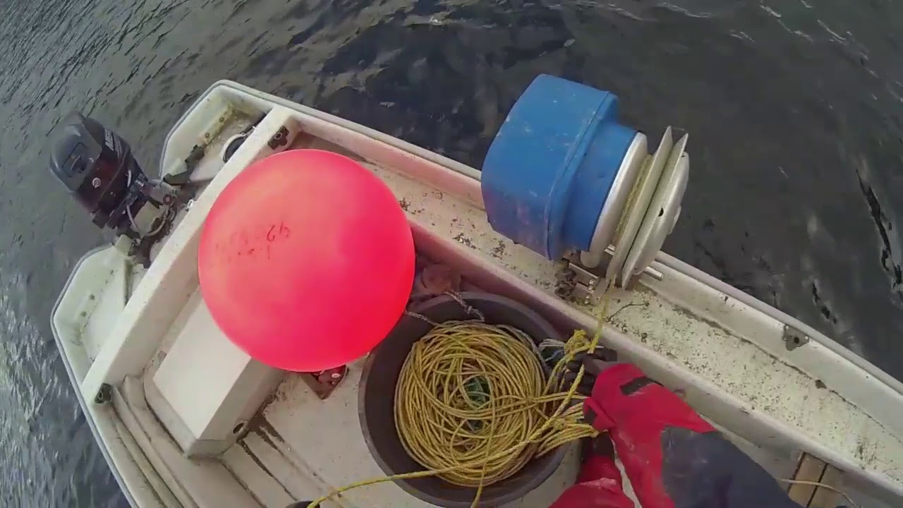 Krepsefiske i Hansvik 16,5 std