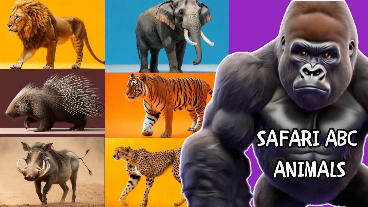 Safari ABC Animal Sounds | Learn ABC Animals For Kids | Kids Smart Learning