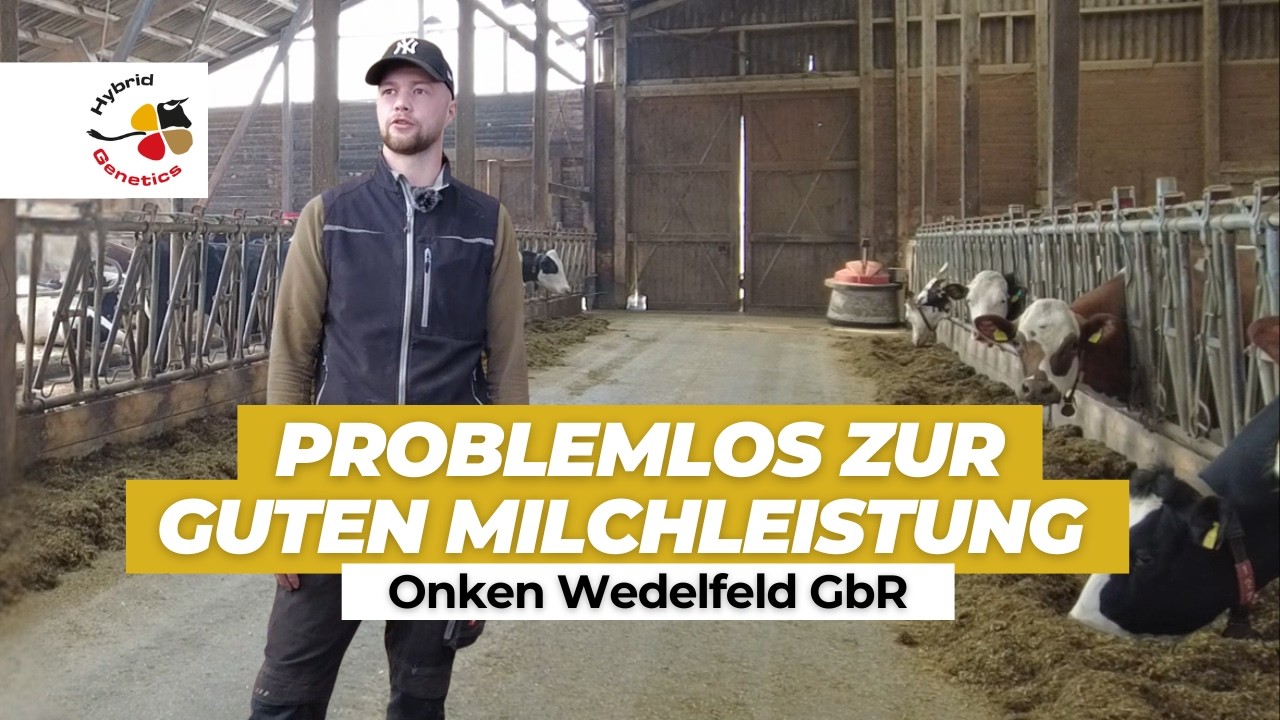 Viel Milch, wenig Aufwand &ndash; Betriebsbesuch bei Onken Wedelfeld GbR !