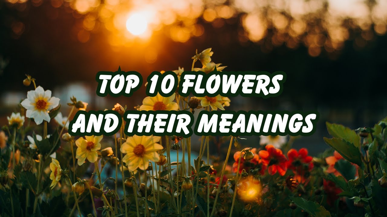 🌸 Top 10 Flowers and Their Meanings 🌼