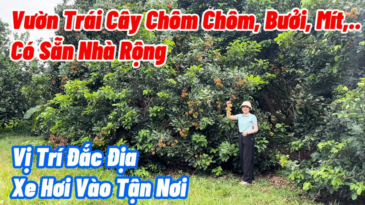BĐS ĐỒNG NAI, Bán Nhà Vườn Trái Cây Đủ Loại, Thu Nhập Ổn Định Hàng Năm, Đường Oto Vào Tận Nơi
