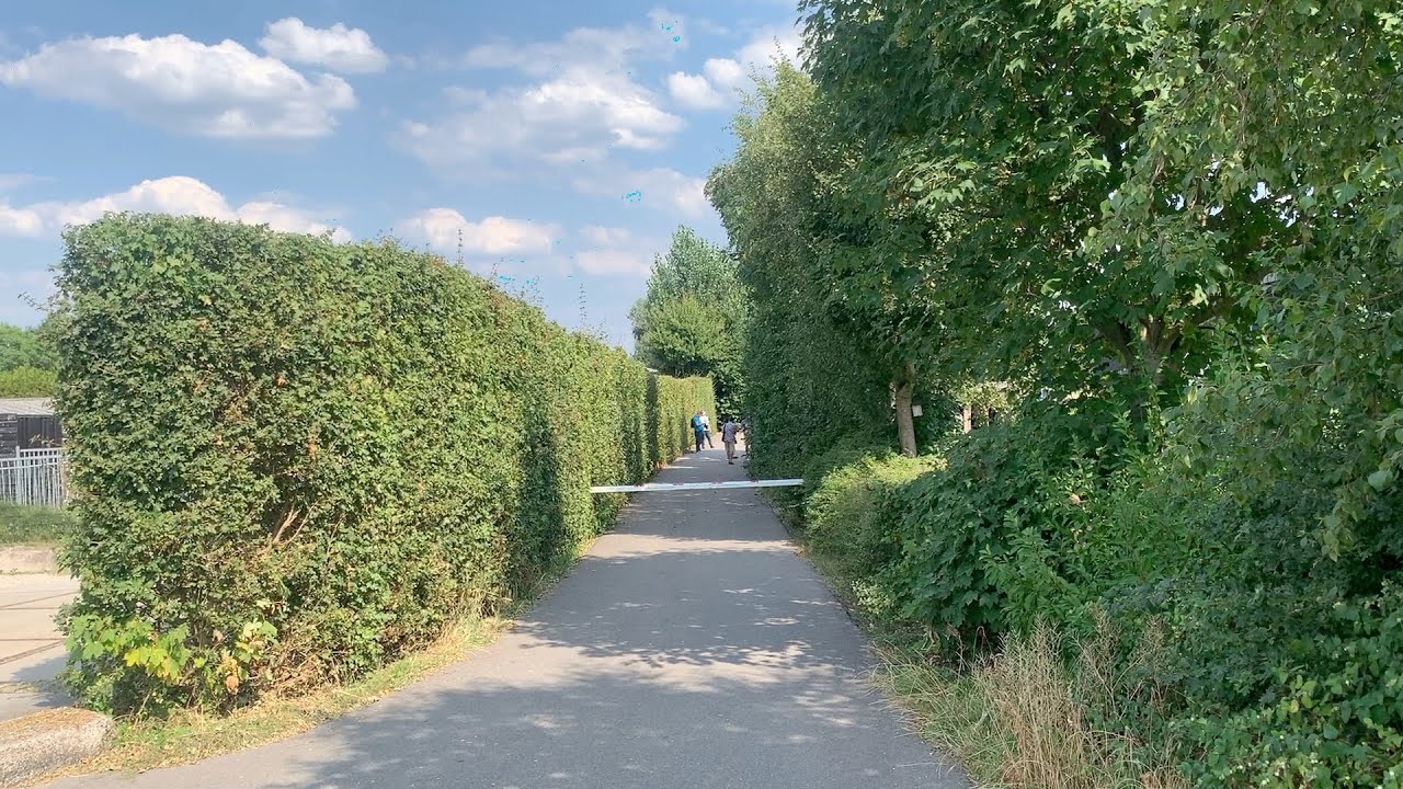 Een verdwenen studio in Baambrugge