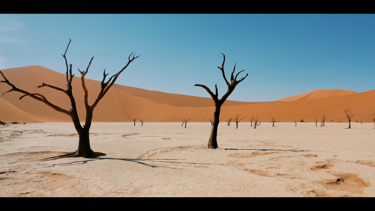 How to Travel Sossusvlei & Deadvlei  | Namib Desert Expedition 2022