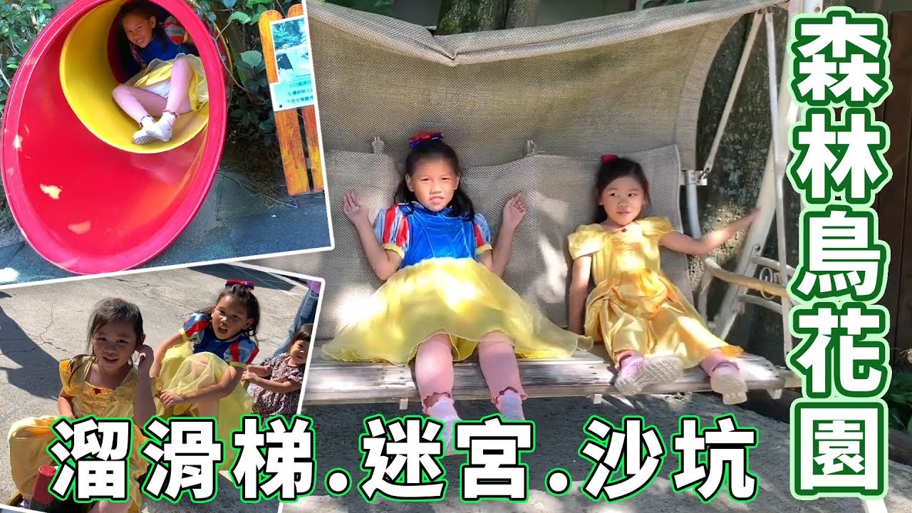 森林鳥花園有樹屋探險跟沙坑還有戲水池以及多道刺激溜滑梯