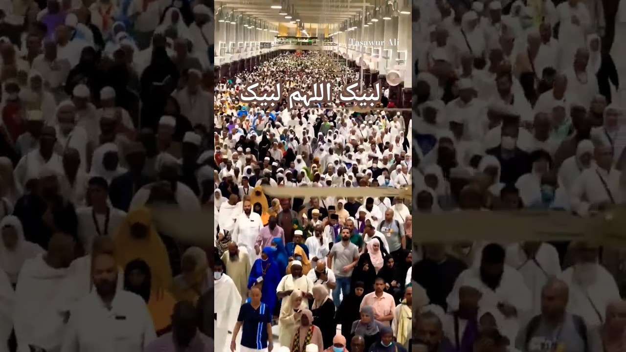 Mashallah Hans per gaye hue hathi..🤲#like #subscribe #share #tasawur