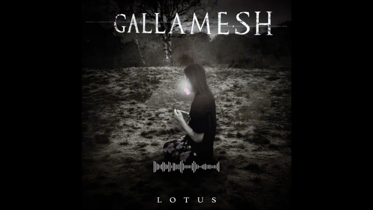 Gallamesh - Lotus