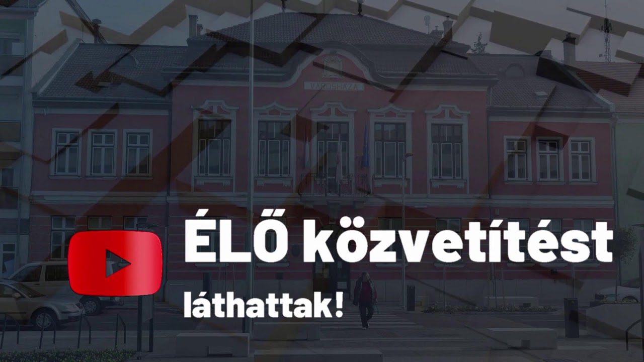 K&eacute;pviselő-test&uuml;leti &uuml;l&eacute;s - 2025. november 20. - Tavi TV