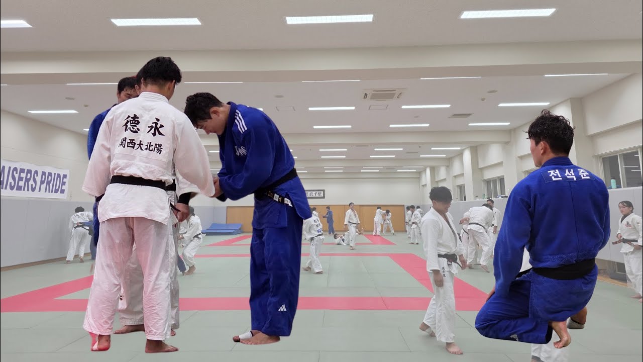 우물 안 올챙이 | 일본 | 오사카 | 브이로그 | 유도