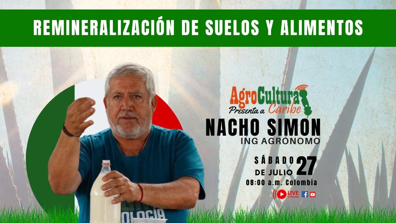 Remineralización de suelos