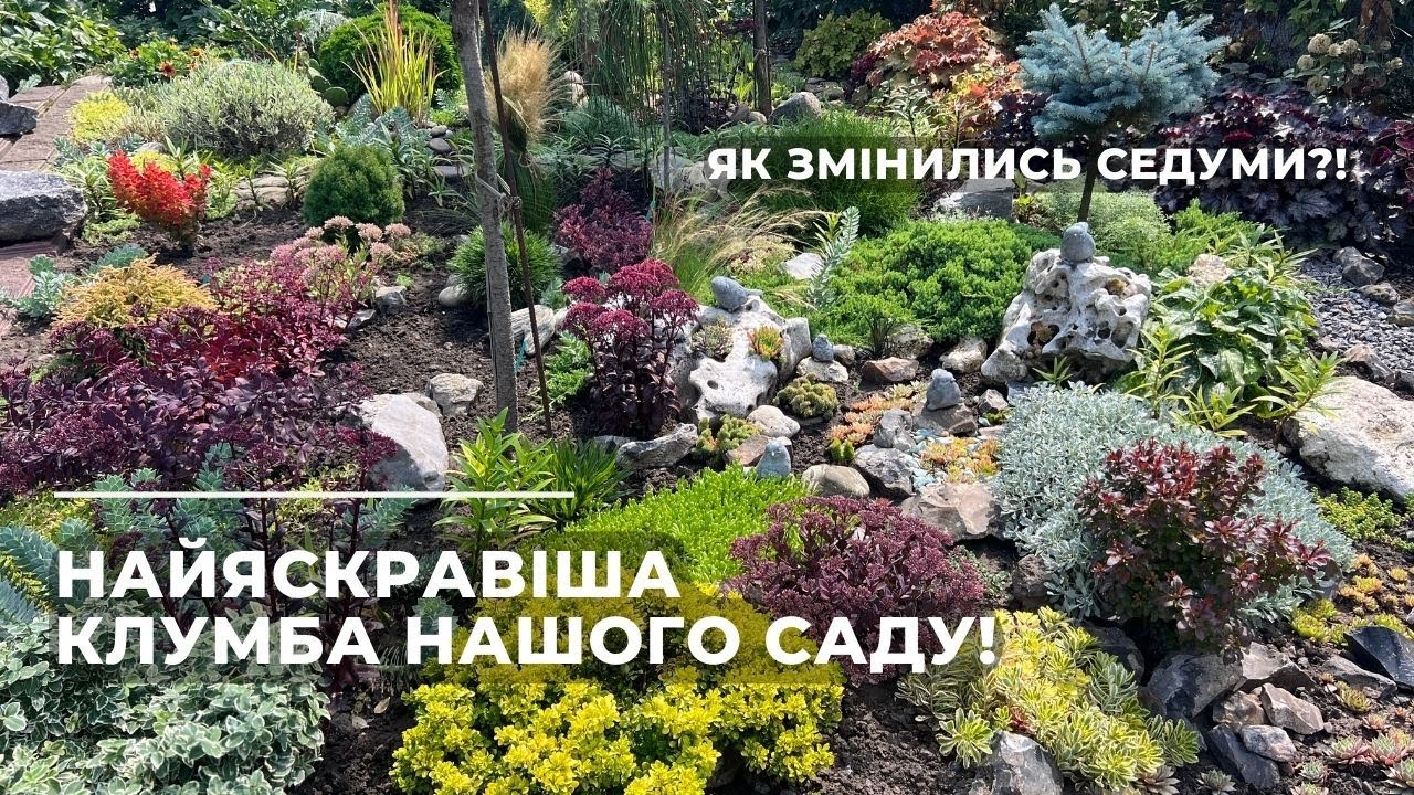 Найяскравіша клумба нашого саду!