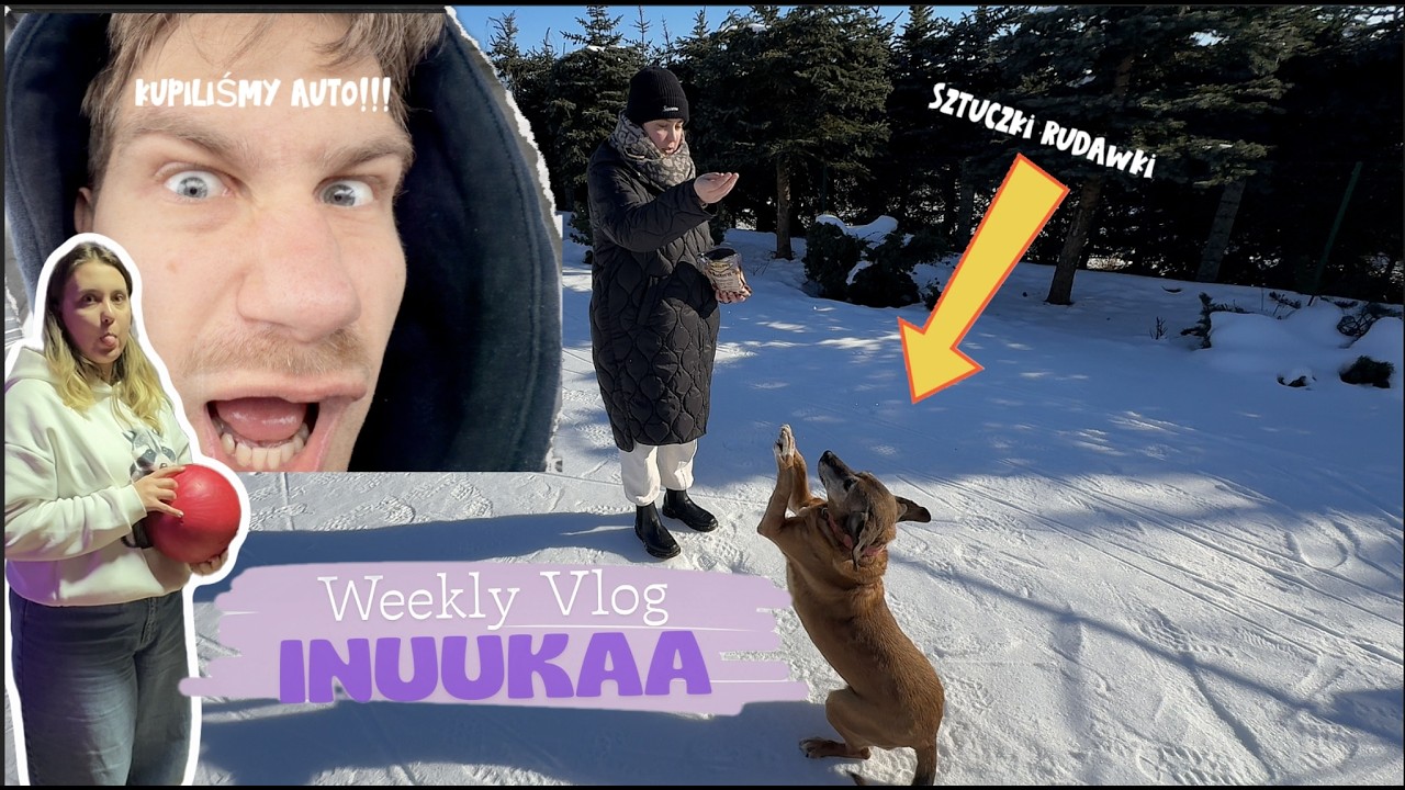 WeeklyVlog #6/2026 : KUPILIŚMY AUTO?! // STANĘŁO NA TRASIE