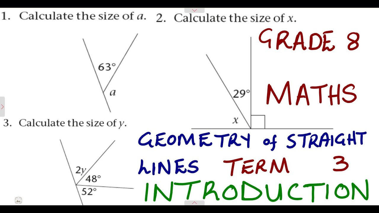 Mathematics Grade 8 Geometry Of Straight Lines Introduction @mathszoneafricanmotives  @mathwithlightone