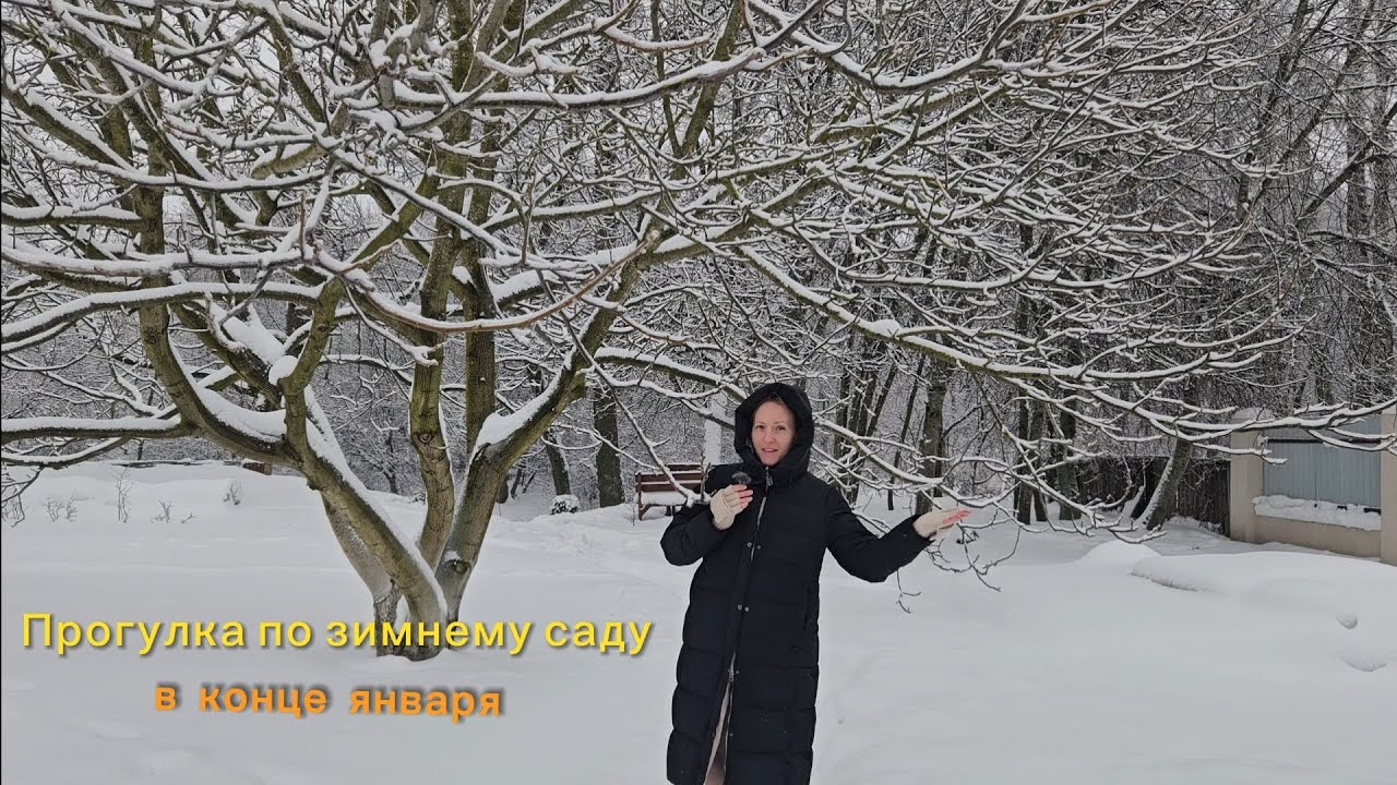 Прогулка по зимнему саду в конце января. Минский район. 29.01.26