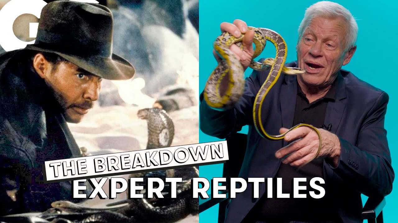 Indiana Jones, Anaconda, Bullet Train…Philippe Gillet décrypte les scènes de serpents au cinéma | GQ
