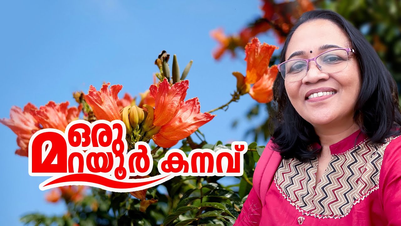 Marayoor budget trip I munnar travel experience I marayoor exploringI jaggery making I sandal forest