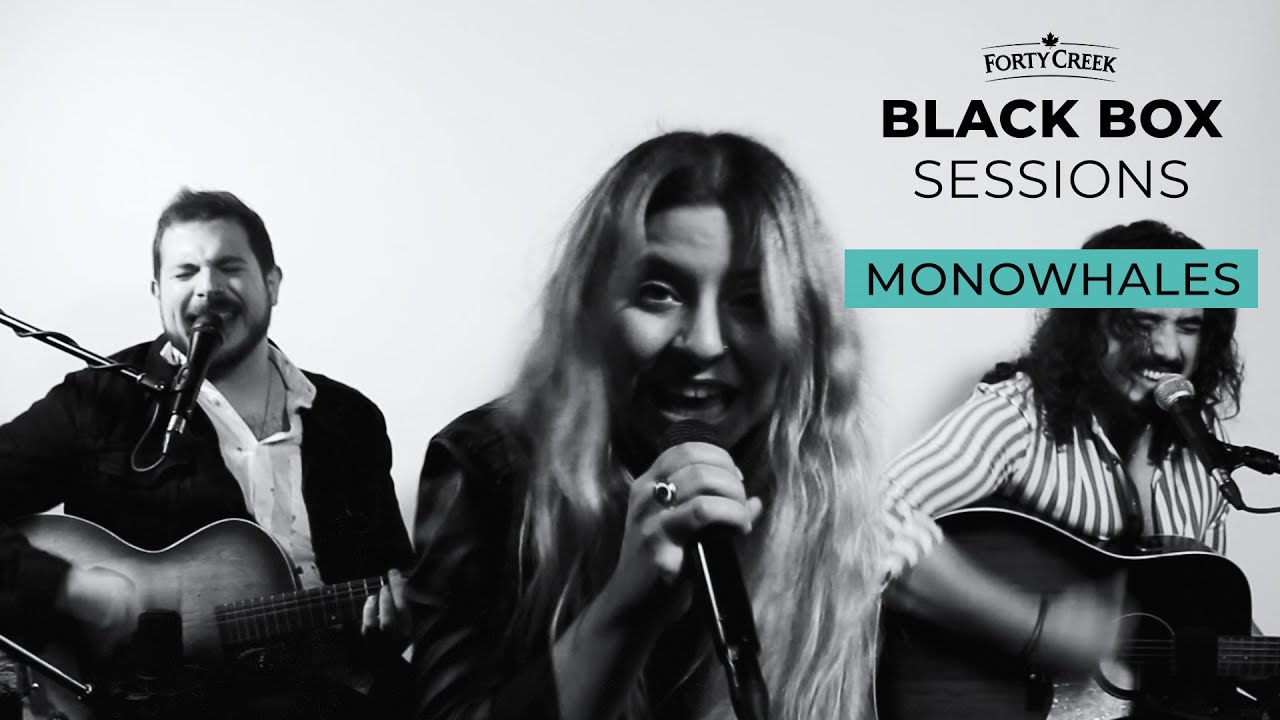 Monowhales - All Or Nothing | Forty Creek Black Box Sessions