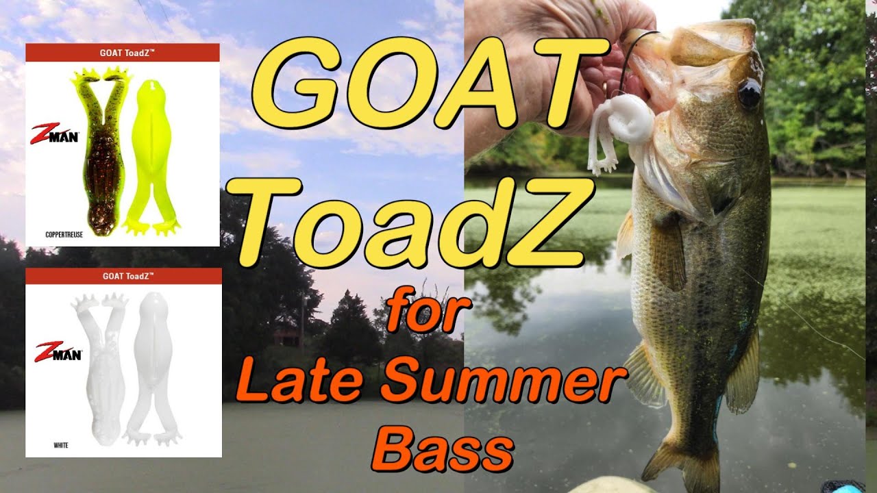 Z-Man GOAT ToadZ for Late Summer Bass