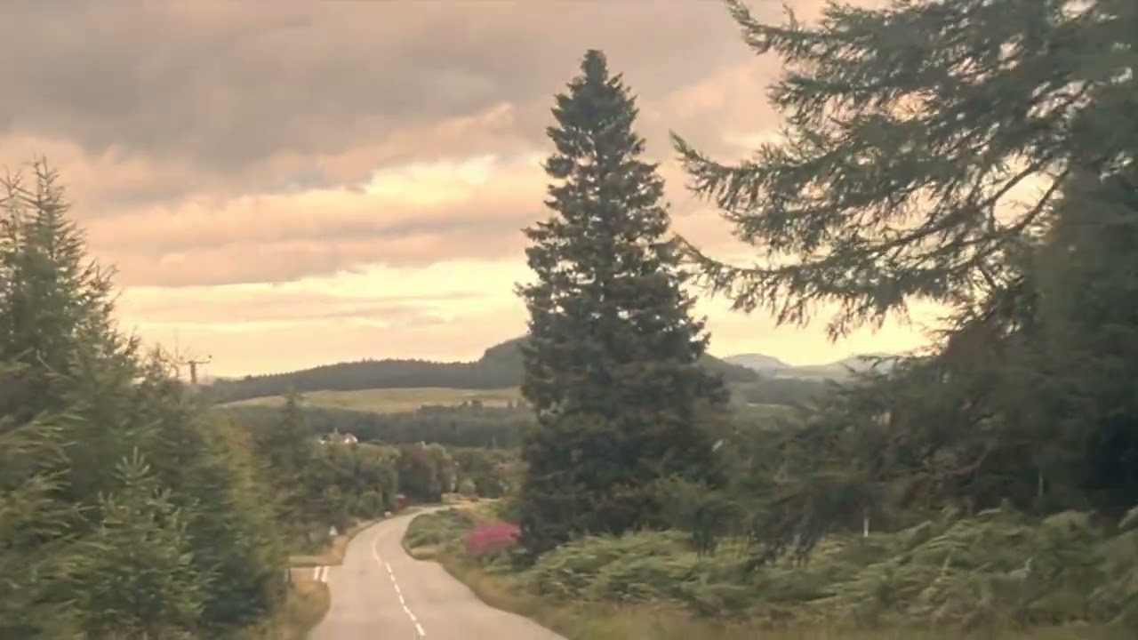 Scotland Dairies Part 3