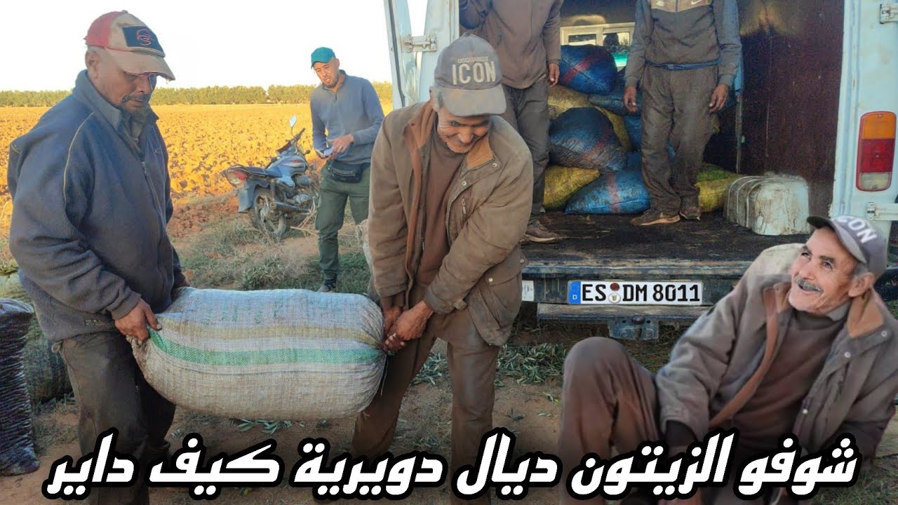 اليوم مشيت نشري الزيتون من دويرية، وتوحشت الشيباني وحتى هو توحشني… موت ديال الضحك.