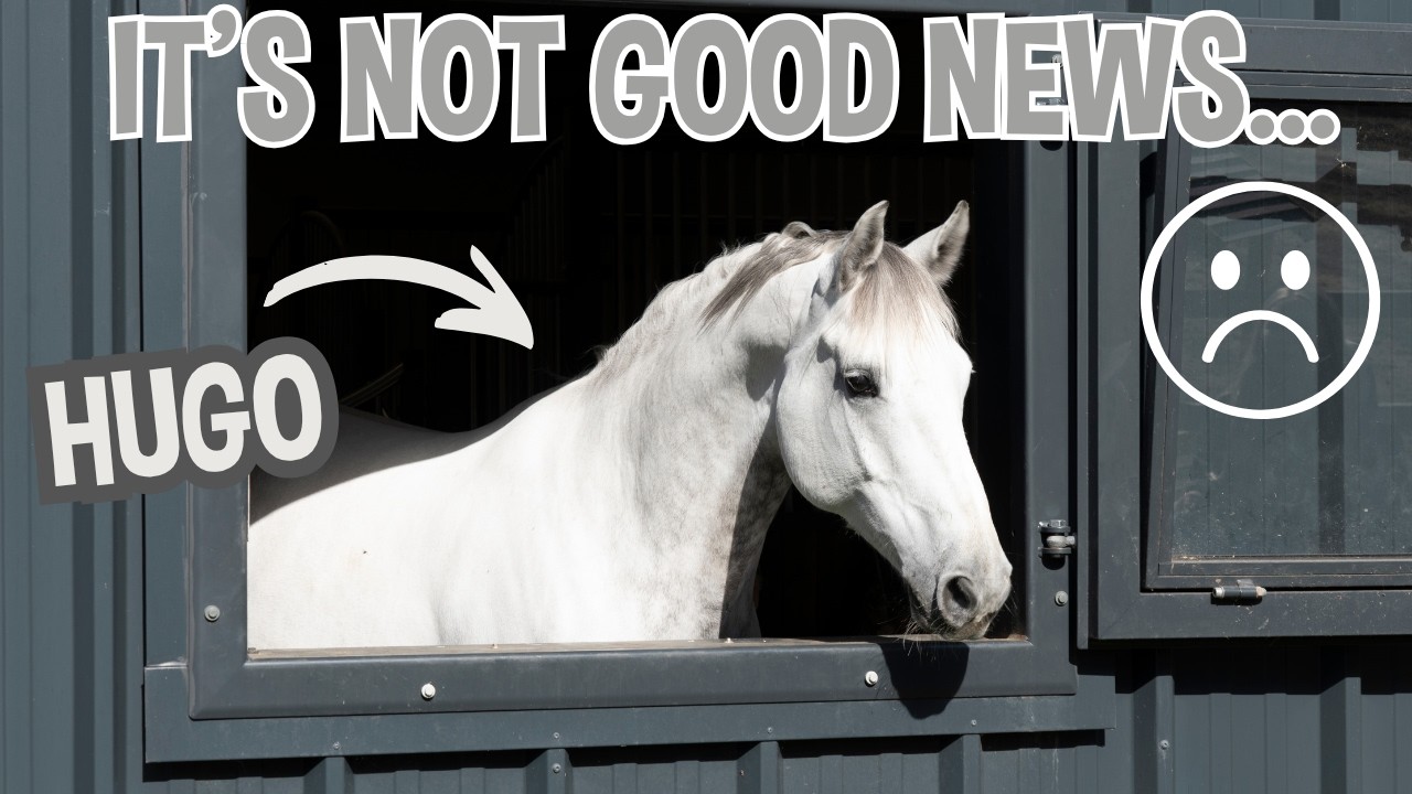 IT'S NOT GOOD NEWS... :(